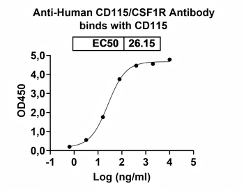 CD115/CSF1R Human Monoclonal Antibody