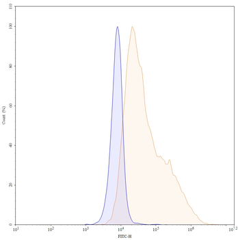 ERBB3/HER3 Mouse Monoclonal Antibody
