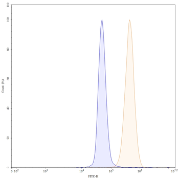 Gal3/Galectin-3 Mouse Monoclonal Antibody