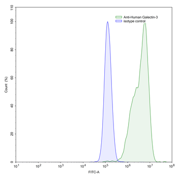 Gal3/Galectin-3 Mouse Monoclonal Antibody