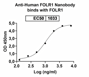 FOLR1 Camelus Monoclonal Antibody