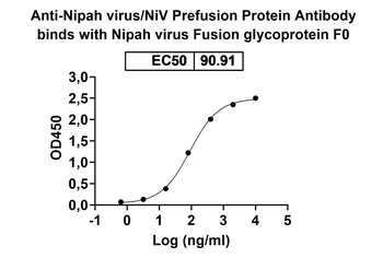 Nipah virus/NiV Prefusion Protein Human Monoclonal Antibody