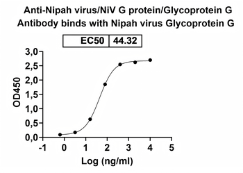 Nipah virus/NiV G protein/Glycoprotein G Human Monoclonal Antibody