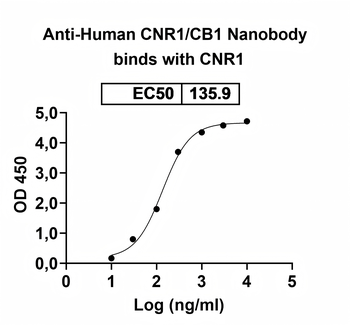 CNR1/CB1 Camelus Monoclonal Antibody