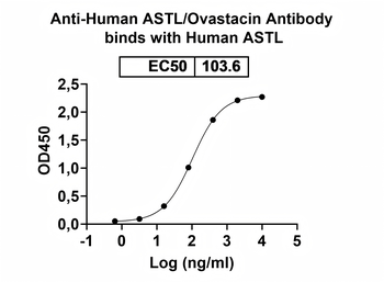 ASTL/Ovastacin Mouse Monoclonal Antibody