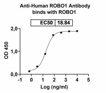 ROBO1 Mouse Monoclonal Antibody