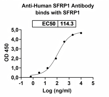 SFRP1 Mouse Monoclonal Antibody