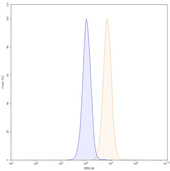 CD40/TNFRSF5 Human Monoclonal Antibody