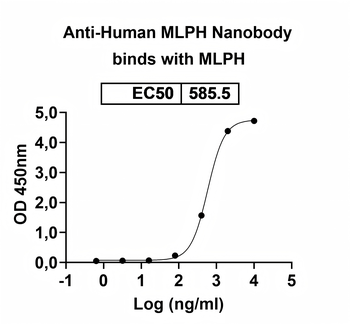 MLPH Camelus Monoclonal Antibody