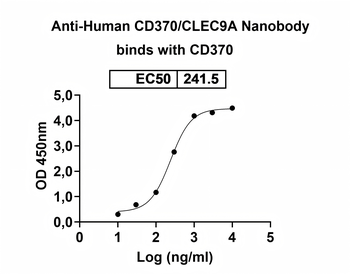 CD370/CLEC9A Camelus Monoclonal Antibody