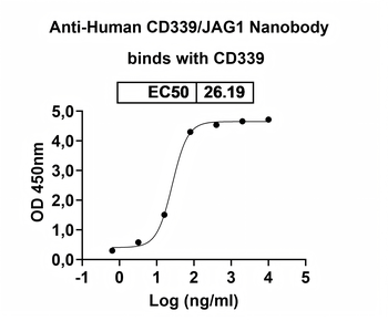 CD339/JAG1 Camelus Monoclonal Antibody