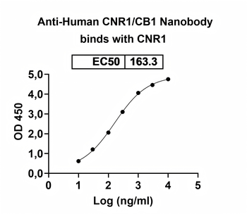 CNR1/CB1 Camelus Monoclonal Antibody