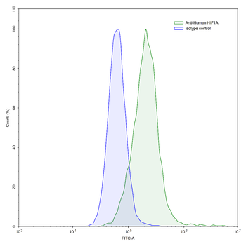 HIF1A Mouse Monoclonal Antibody