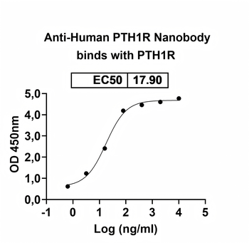 PTH1R Camelus Monoclonal Antibody