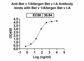 Bet v 1/Allergen Bet v I-A Human Monoclonal Antibody
