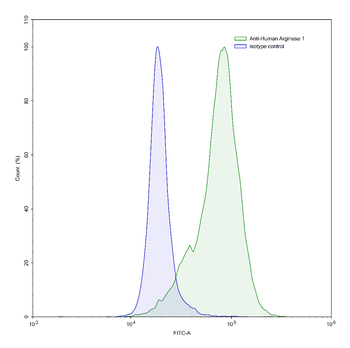 ARG1/Arginase-1 Mouse Monoclonal Antibody
