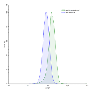 ARG1/Arginase-1 Mouse Monoclonal Antibody