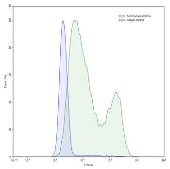 VEGFA Human Monoclonal Antibody