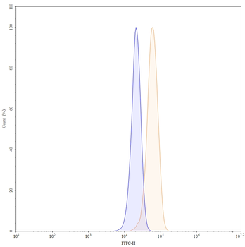 VEGFA Human Monoclonal Antibody