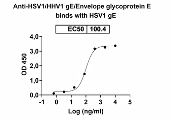 HSV1/HHV1 gE/Envelope glycoprotein E Human Monoclonal Antibody