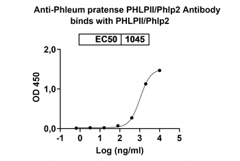 Phleum pratense PHLPII/Phlp2 Human Monoclonal Antibody