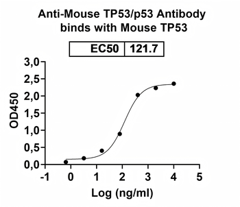 TP53/p53 Rat Monoclonal Antibody