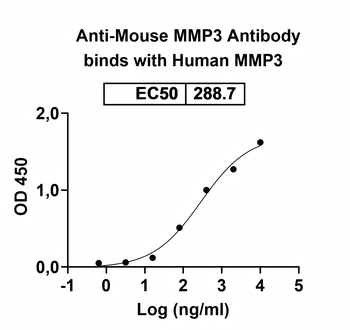 MMP3 Rat Monoclonal Antibody