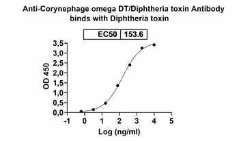 Corynephage omega DT/Diphtheria toxin Mouse Monoclonal Antibody
