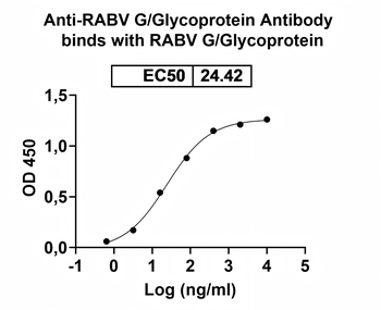 RABV G/Glycoprotein Human Monoclonal Antibody