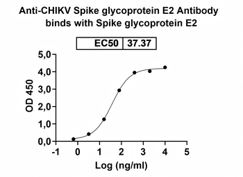 CHIKV Spike glycoprotein E2 Human Monoclonal Antibody