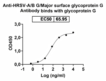 HRSV-A/B G/Major surface glycoprotein G Human Monoclonal Antibody