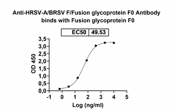 HRSV-A/BRSV F/Fusion glycoprotein F0 Human Monoclonal Antibody