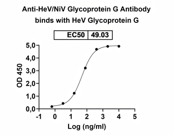 HeV/NiV Glycoprotein G Human Monoclonal Antibody