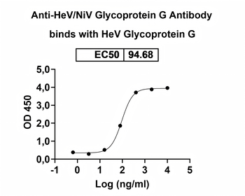 HeV/NiV Glycoprotein G Human Monoclonal Antibody
