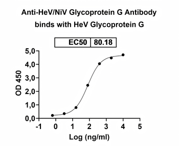 HeV/NiV Glycoprotein G Human Monoclonal Antibody