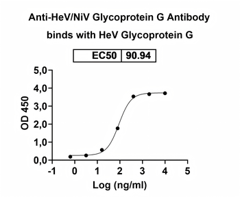 HeV/NiV Glycoprotein G Human Monoclonal Antibody