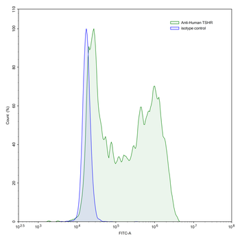 TSHR Mouse Recombinant Antibody