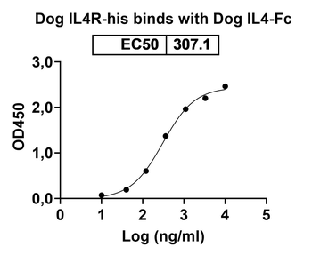 Recombinant Dog CD124/IL4R/IL-4Rα Protein, C-His