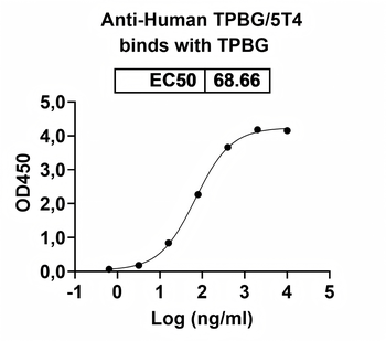 Recombinant Human TPBG/5T4 Protein, C-His