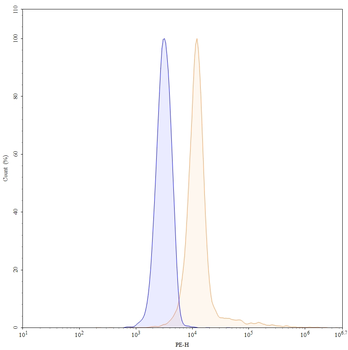 FOXP3 Monoclonal Mouse Monoclonal Antibody (PE)