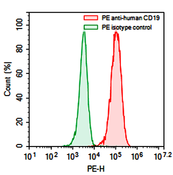 DPEP3 Mouse Monoclonal Antibody (PE)
