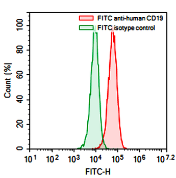 DPEP3 Mouse Monoclonal Antibody (FITC)
