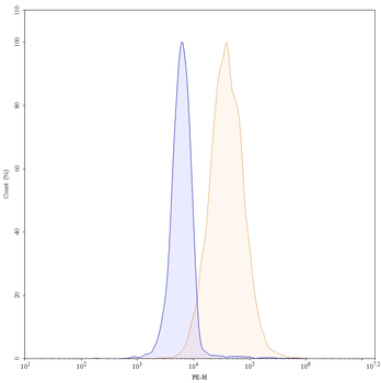 CD73/NT5E Mouse Monoclonal Antibody (PE)