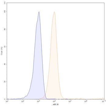 SLC1A5 Human Monoclonal Antibody (APC)