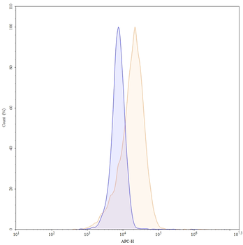 CD171/L1CAM Mouse Monoclonal Antibody (APC)