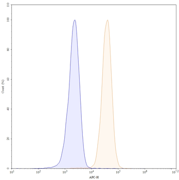 CD45/PTPRC Mouse Monoclonal Antibody (APC)