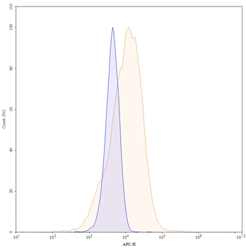 CD90/THY1 Mouse Monoclonal Antibody (APC)