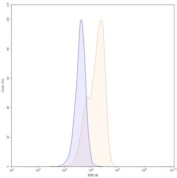 TRBC1 Mouse Monoclonal Antibody (FITC)