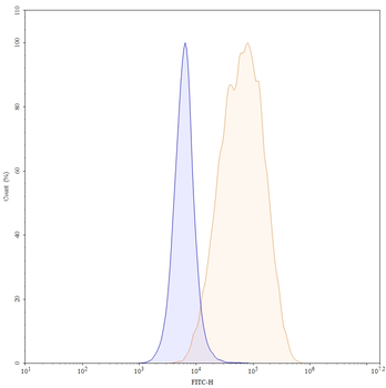CD350/FZD10 Human Monoclonal Antibody (FITC)