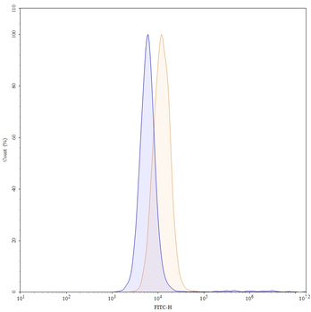 FZD1 Human Monoclonal Antibody (FITC)